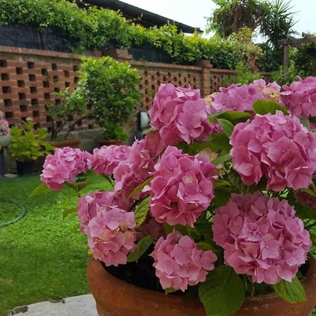 Bellavista La Tua Romantica Vacanza Sul Trasimeno 拉戈堡 外观 照片