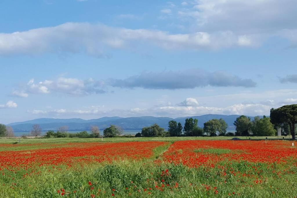 拉戈堡Bellavista La Tua Romantica Vacanza Sul Trasimeno公寓 外观 照片