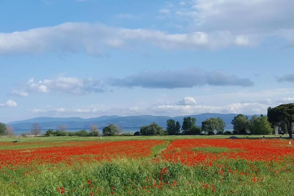 Bellavista La Tua Romantica Vacanza Sul Trasimeno 拉戈堡 外观 照片