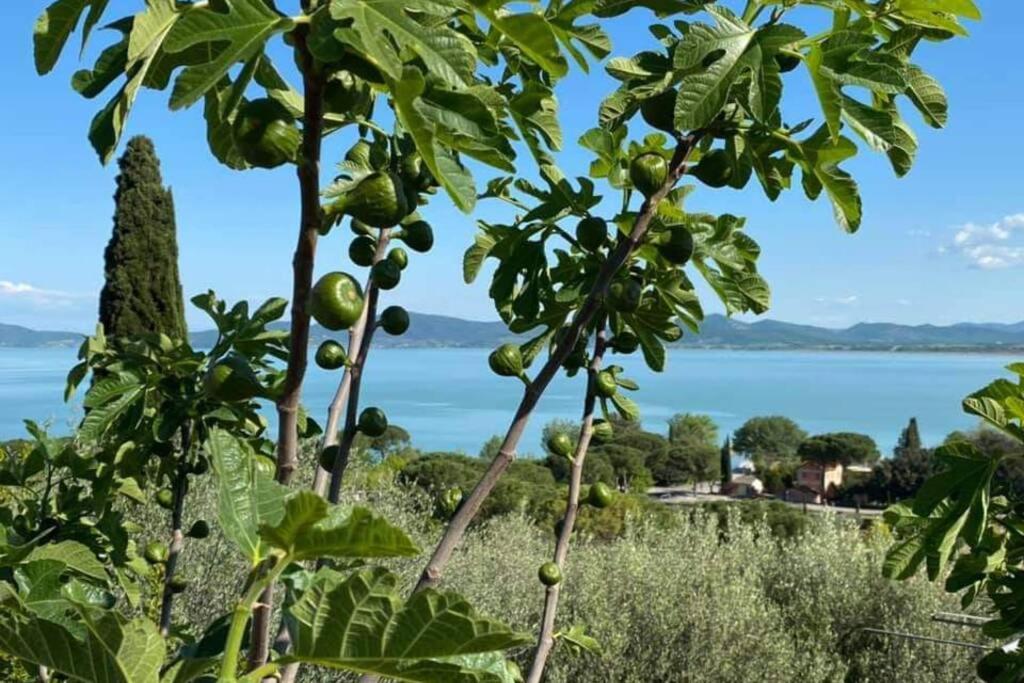 拉戈堡Bellavista La Tua Romantica Vacanza Sul Trasimeno公寓 外观 照片