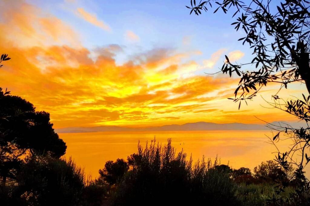 Bellavista La Tua Romantica Vacanza Sul Trasimeno 拉戈堡 外观 照片