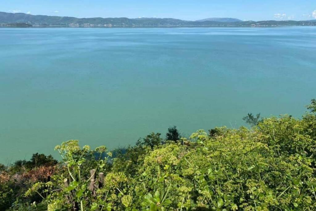 Bellavista La Tua Romantica Vacanza Sul Trasimeno 拉戈堡 外观 照片