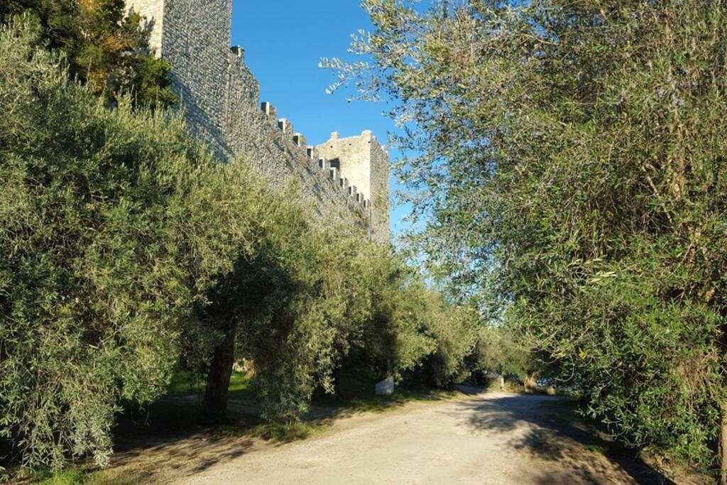 Bellavista La Tua Romantica Vacanza Sul Trasimeno 拉戈堡 外观 照片
