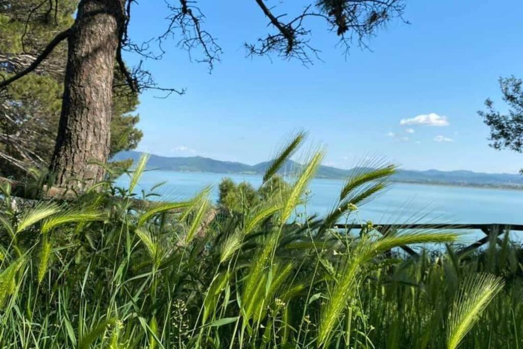 Bellavista La Tua Romantica Vacanza Sul Trasimeno 拉戈堡 外观 照片