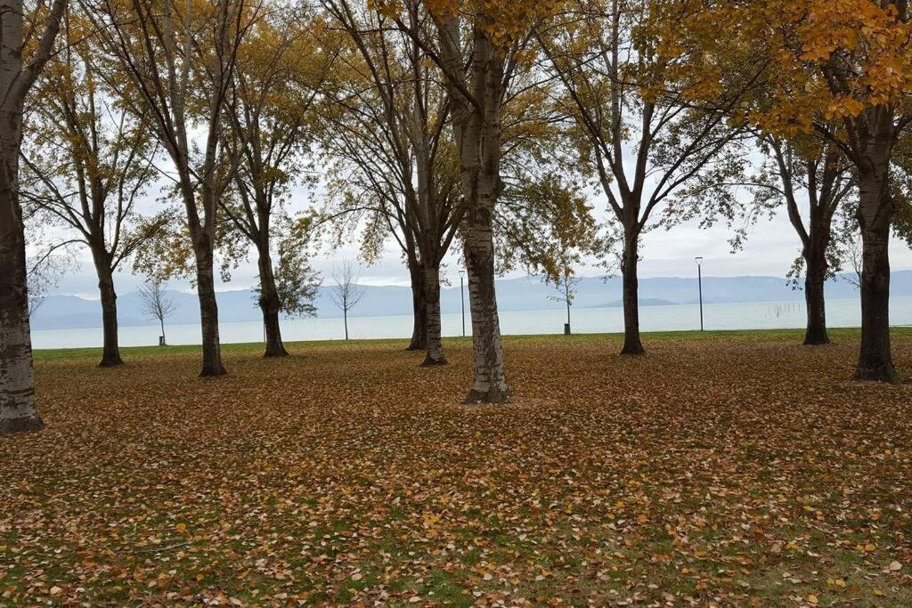 Bellavista La Tua Romantica Vacanza Sul Trasimeno 拉戈堡 外观 照片