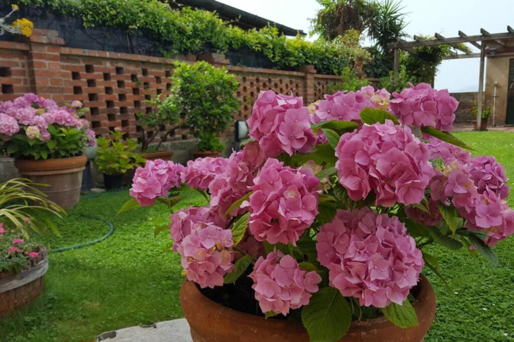 Bellavista La Tua Romantica Vacanza Sul Trasimeno 拉戈堡 外观 照片