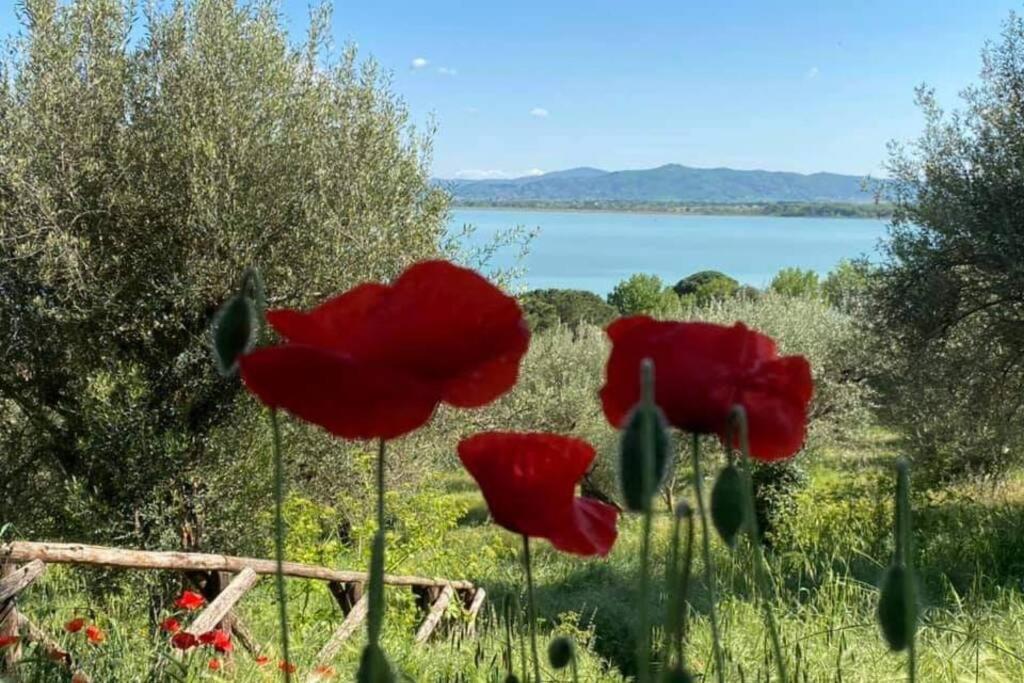 Bellavista La Tua Romantica Vacanza Sul Trasimeno 拉戈堡 外观 照片