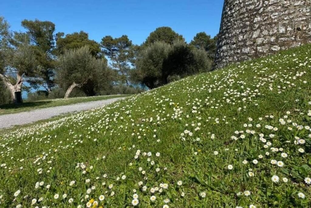 Bellavista La Tua Romantica Vacanza Sul Trasimeno 拉戈堡 外观 照片