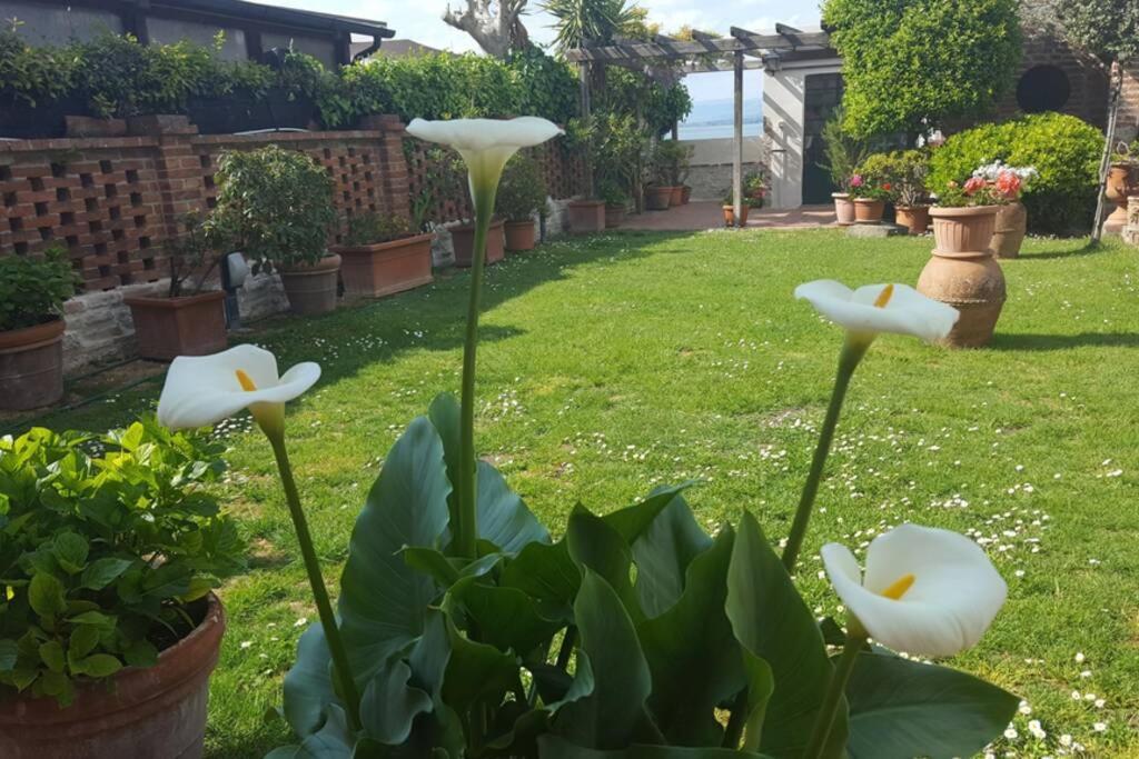 Bellavista La Tua Romantica Vacanza Sul Trasimeno 拉戈堡 外观 照片
