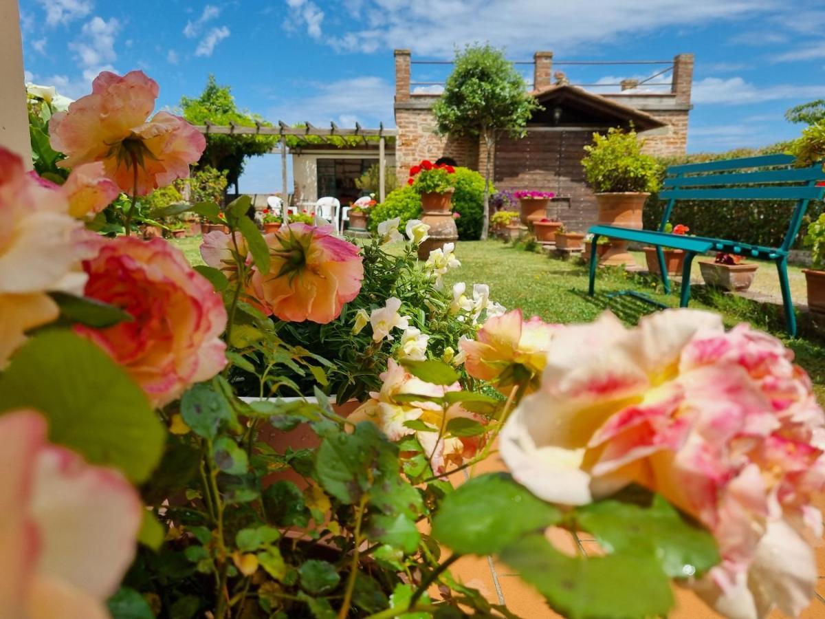 Bellavista La Tua Romantica Vacanza Sul Trasimeno 拉戈堡 外观 照片